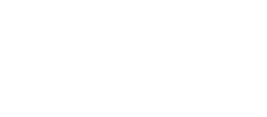 Mini Logo