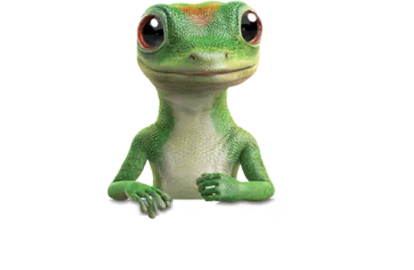Geico Glass Claim, Geico Auto Glass Claim